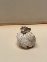 Load image into Gallery viewer, Ravi - Silver