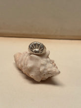 Load image into Gallery viewer, Ravi - Silver