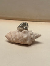 Load image into Gallery viewer, Ravi - Silver