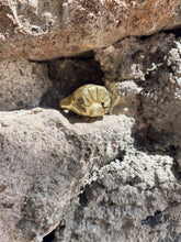 Load image into Gallery viewer, Ravi - Bronze