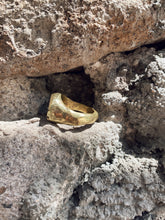 Load image into Gallery viewer, Ravi - Bronze