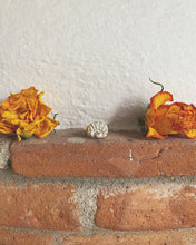 Load image into Gallery viewer, Ravi - Silver