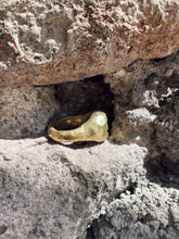 Load image into Gallery viewer, Ravi - Bronze