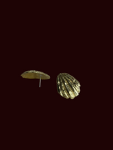 Load image into Gallery viewer, Ran Studs :: Bronze
