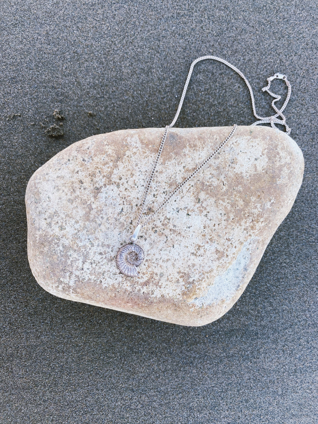 Ammonite Pendant - Silver