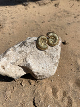 Load image into Gallery viewer, Ammonite Studs
